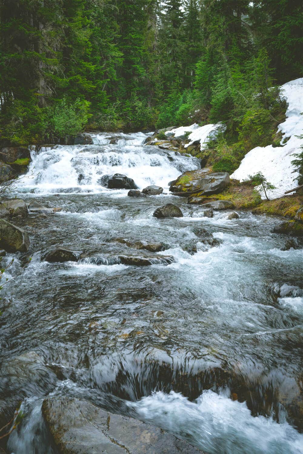 Waterfalls and pine trees near Puget Sound, Washington.